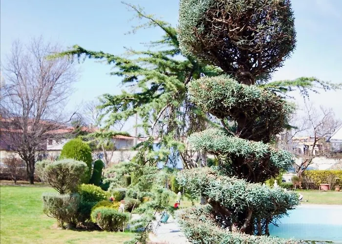 къща за гости,, зафир,, Penzion